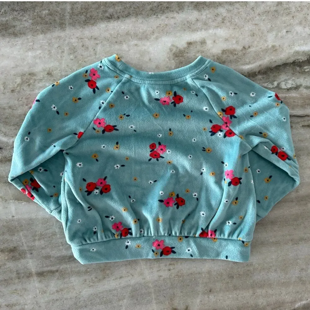 Cat & Jack Toddler Girl Velour Floral Lounge Set 2T Blue Jogger Set